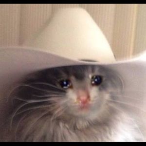 Meet your Posher, Aram